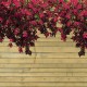 Osłona balkonowa jednostronna - kwiaty wiszące