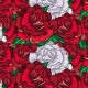 Osłona balkonowa jednostronna - Czerwono-białe róże