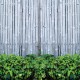 Osłona balkonowa jednostronna - Krzewy na bambusie